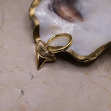 Shark Tooth Earring - Solid Gold - Aaria London