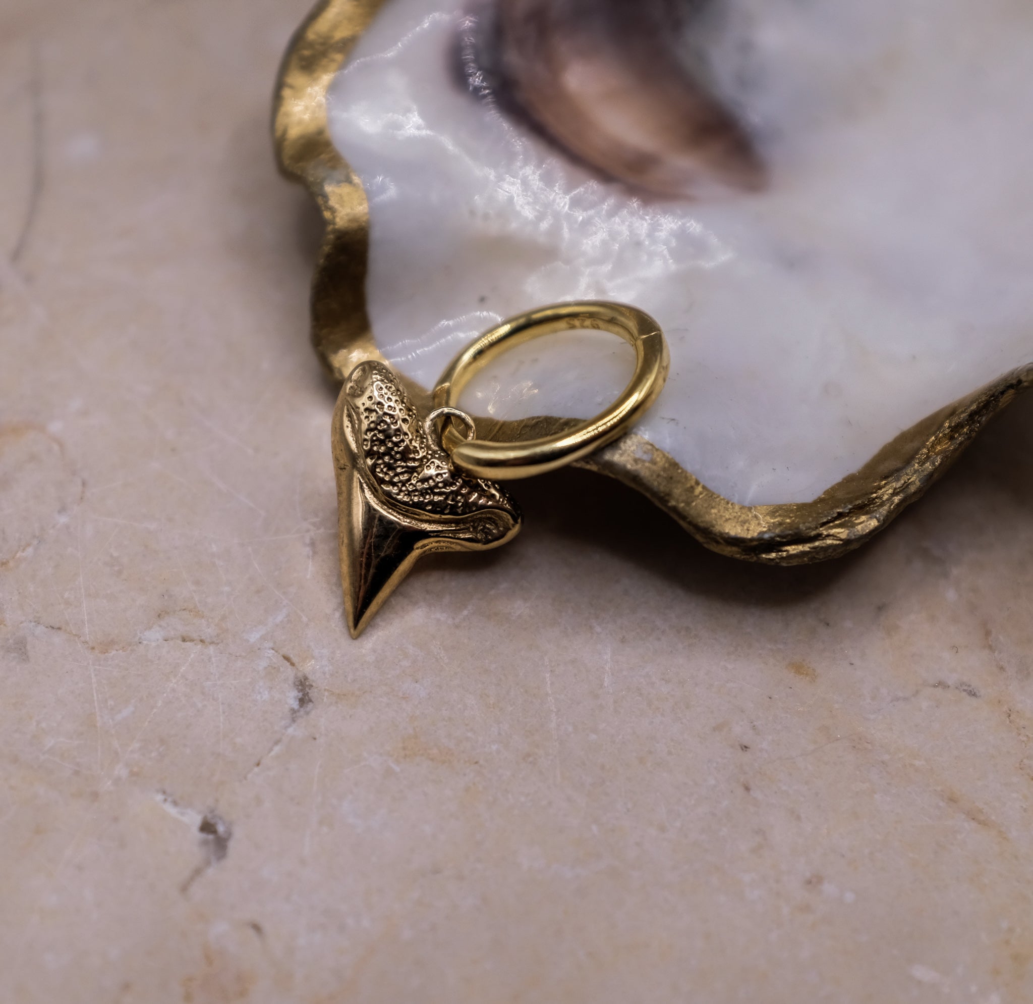 Shark Tooth Earring - Solid Gold - Aaria London