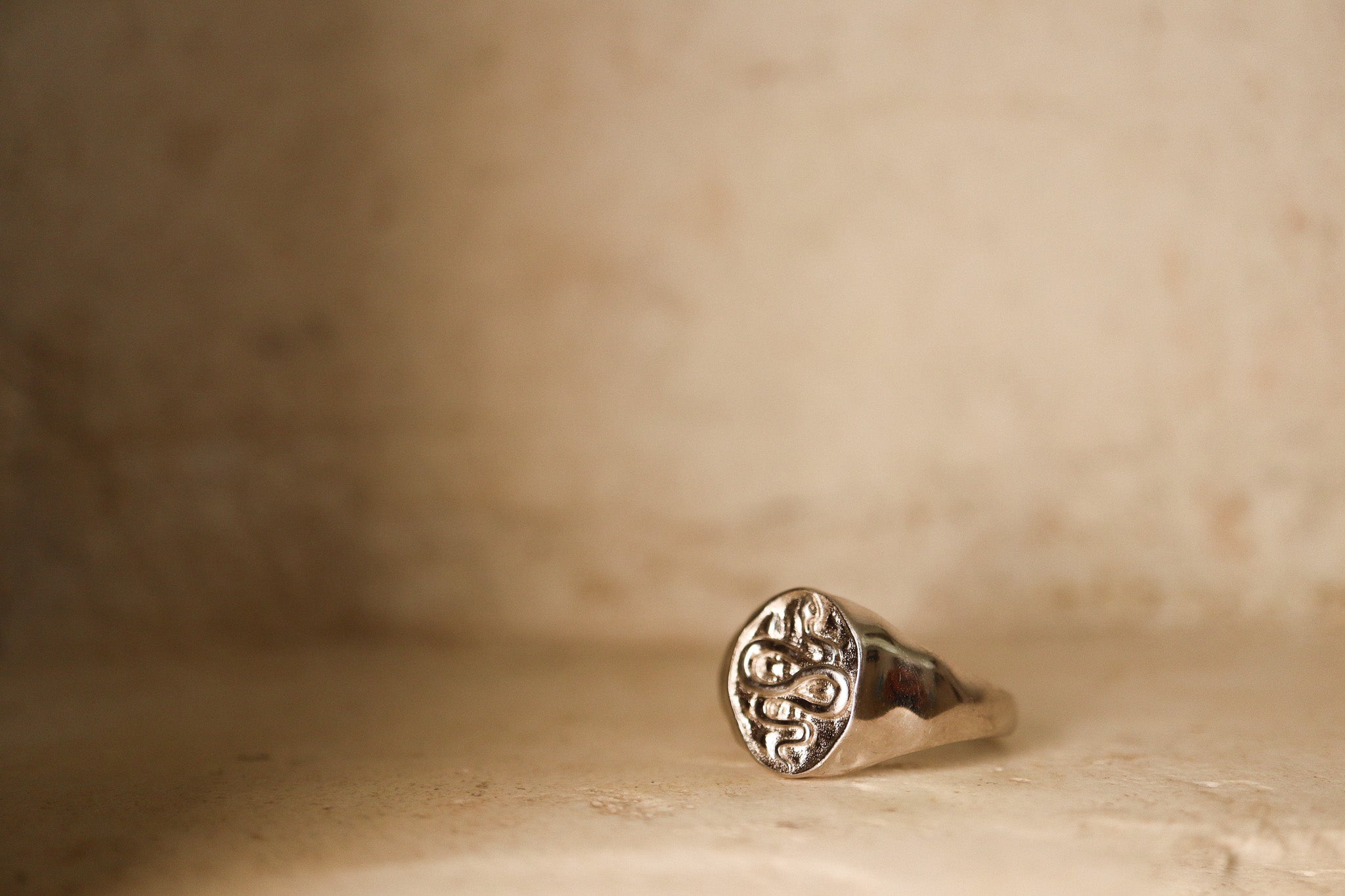 Snake Signet Ring - Silver - Aaria London