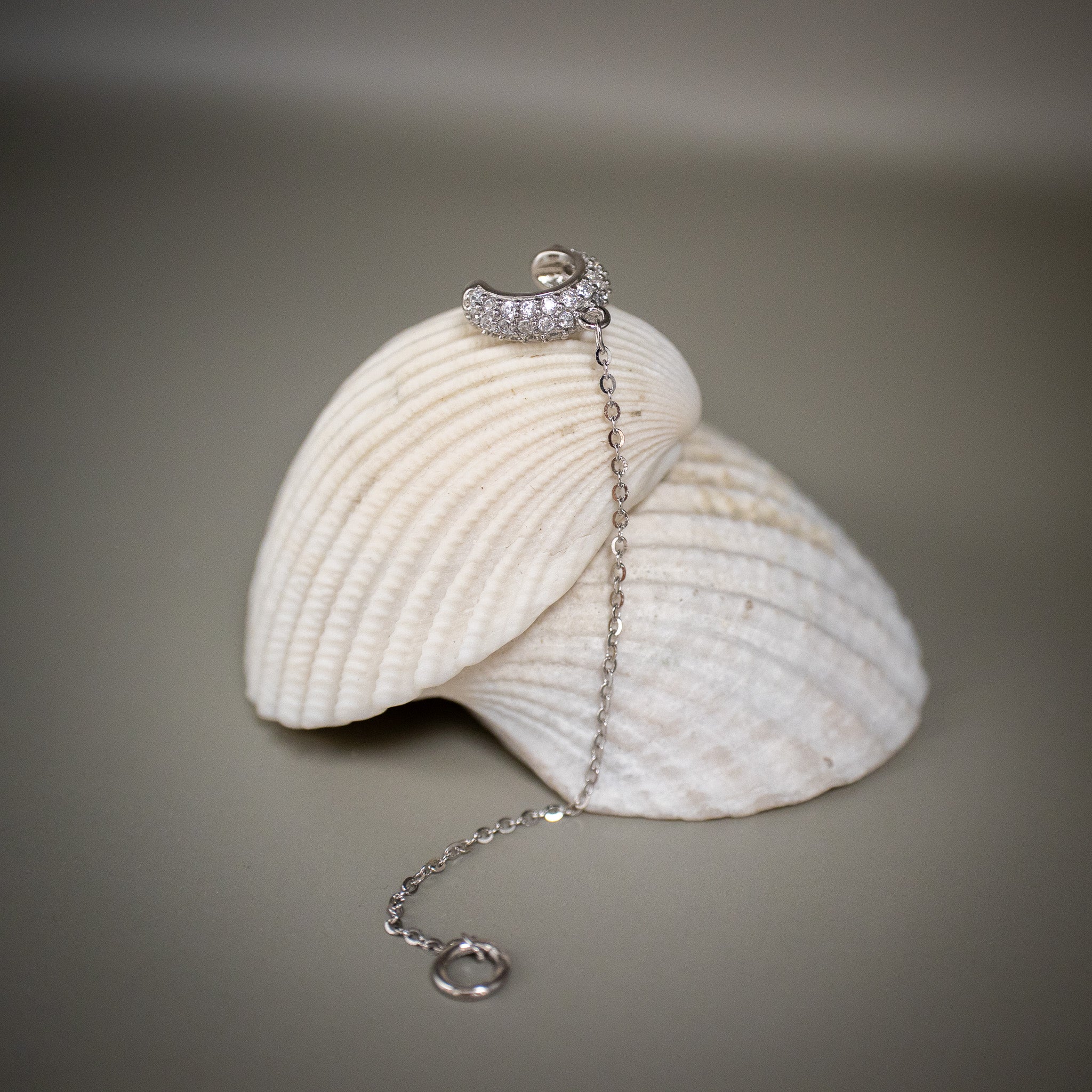 Silver chain earring displayed on white seashells.