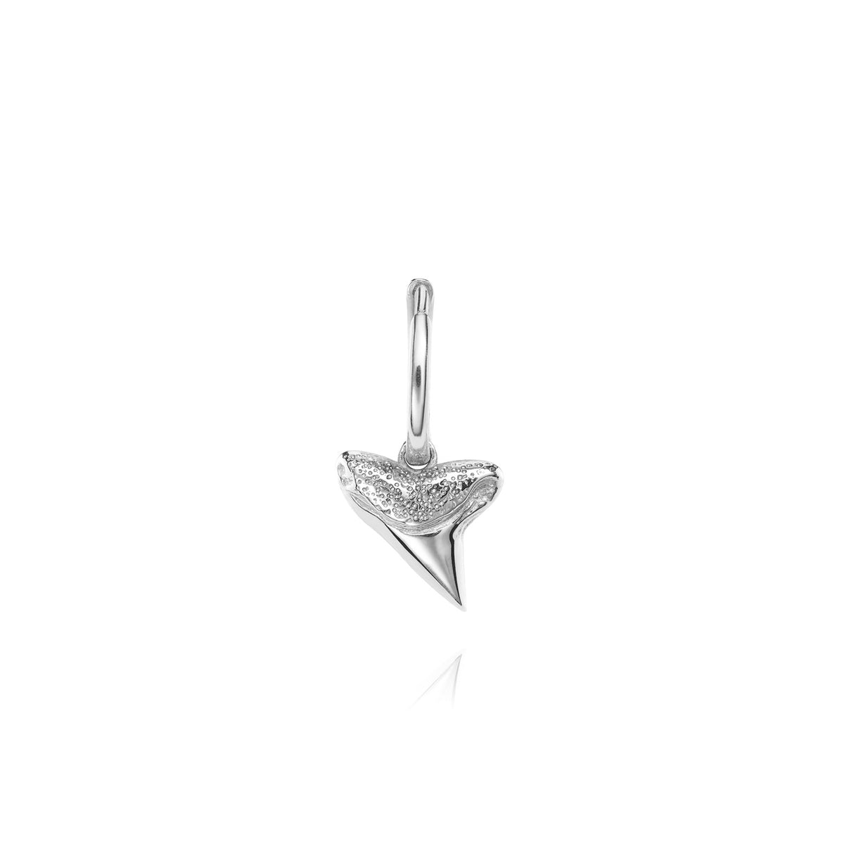 Silver shark tooth pendant with a sleek and detailed texture.