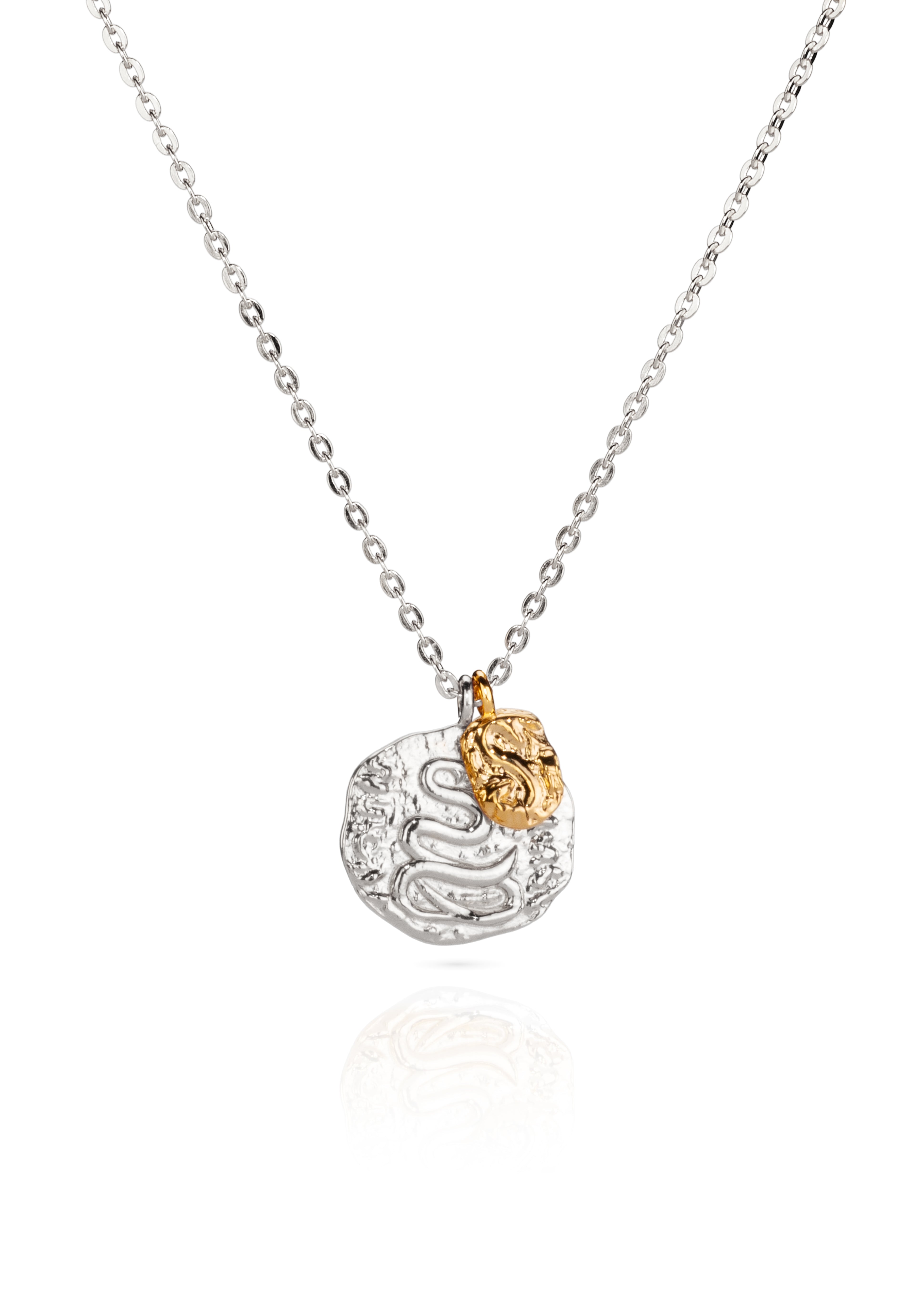 Snake Coin Necklace - Duo Tone Mixed Metal
