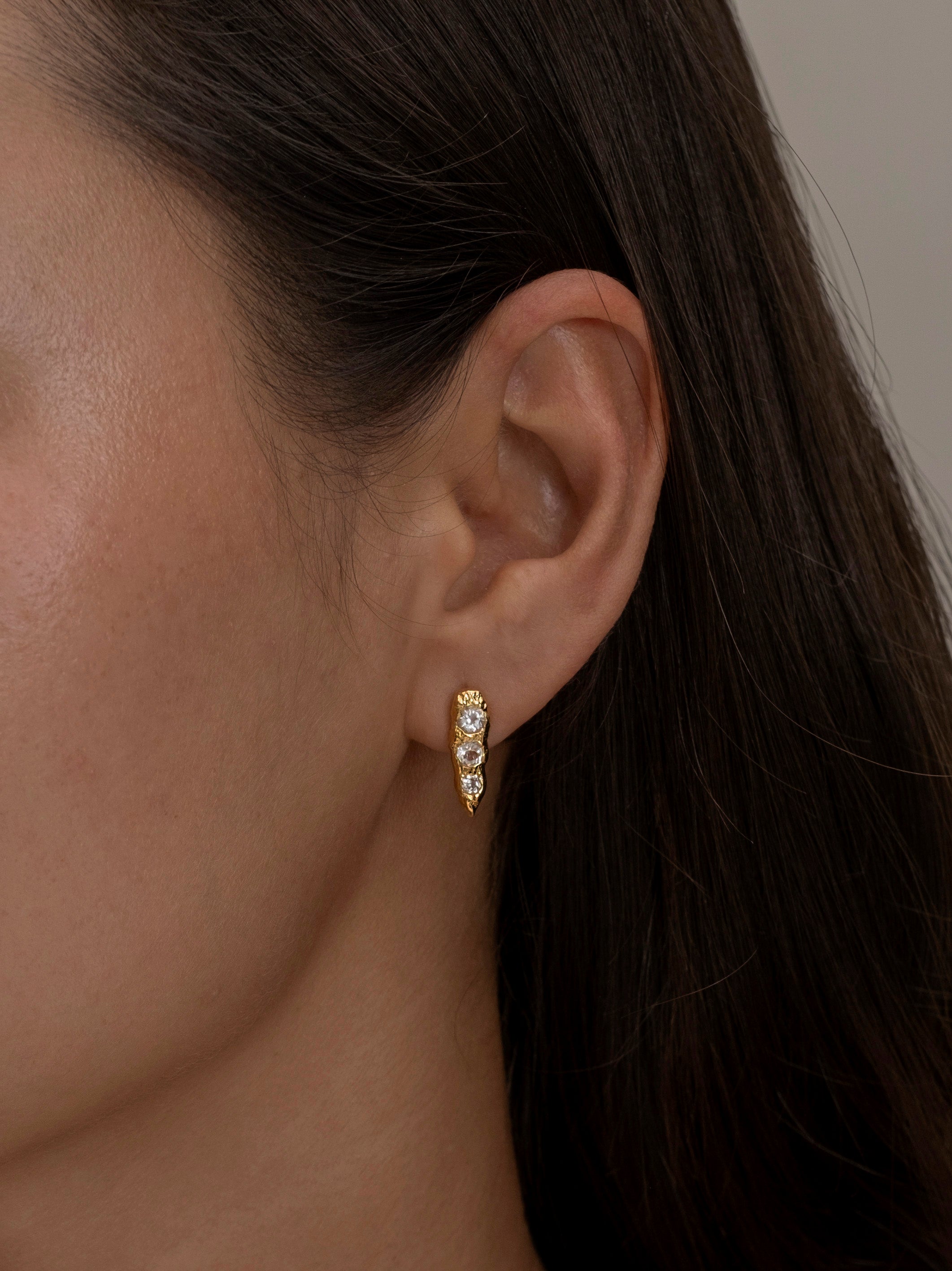Small diamond-studded gold hoop earring on ear.