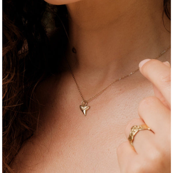 Aaria London Shark Tooth Necklace - Solid Gold Necklaces
