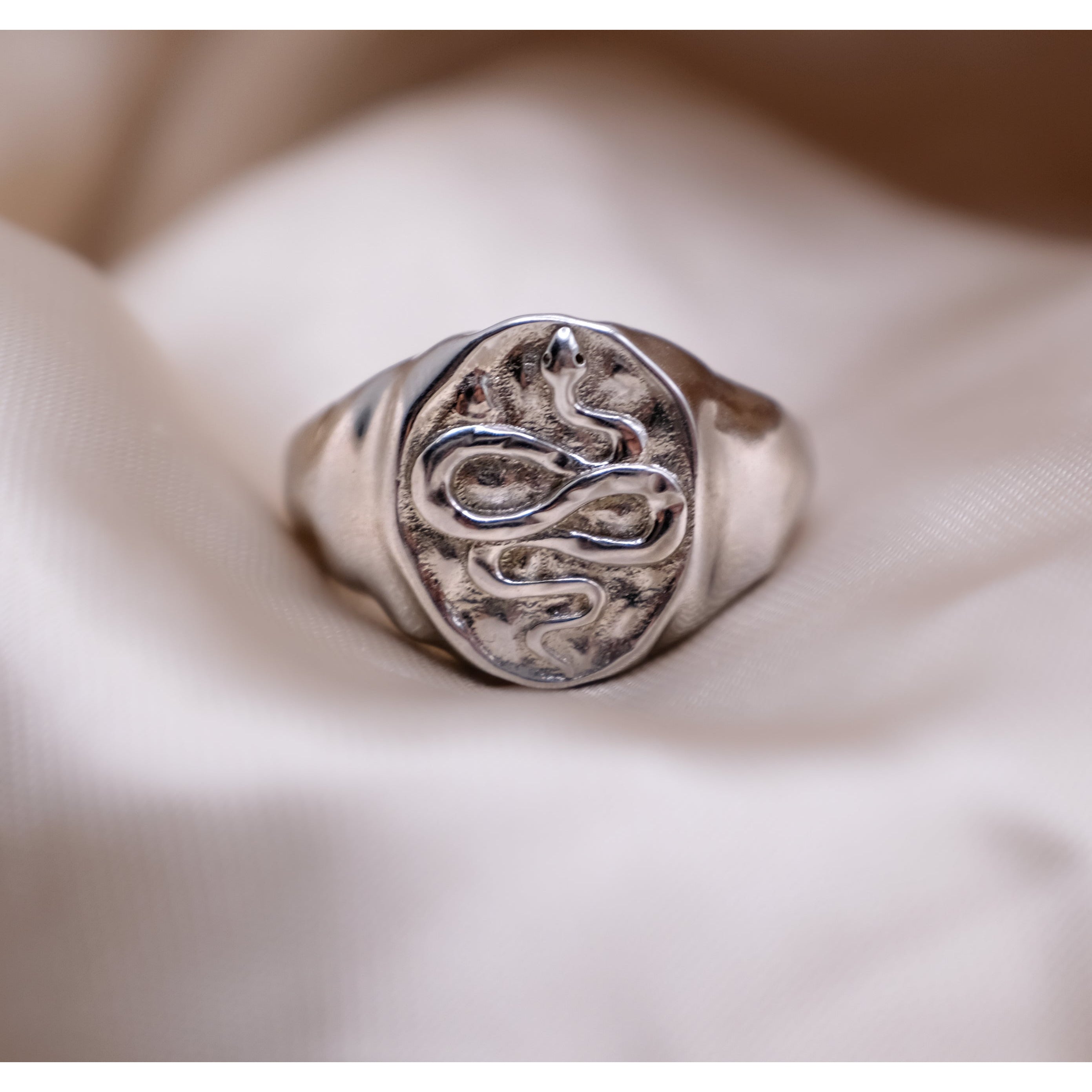 Snake Signet Ring - Silver - Aaria London