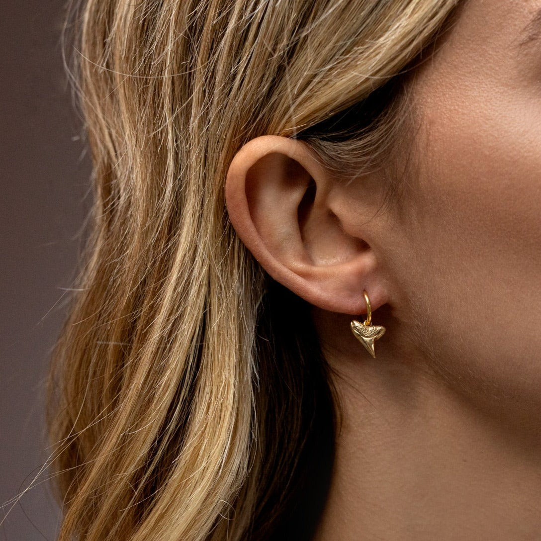 Shark Tooth Earring - Solid Gold - Aaria London