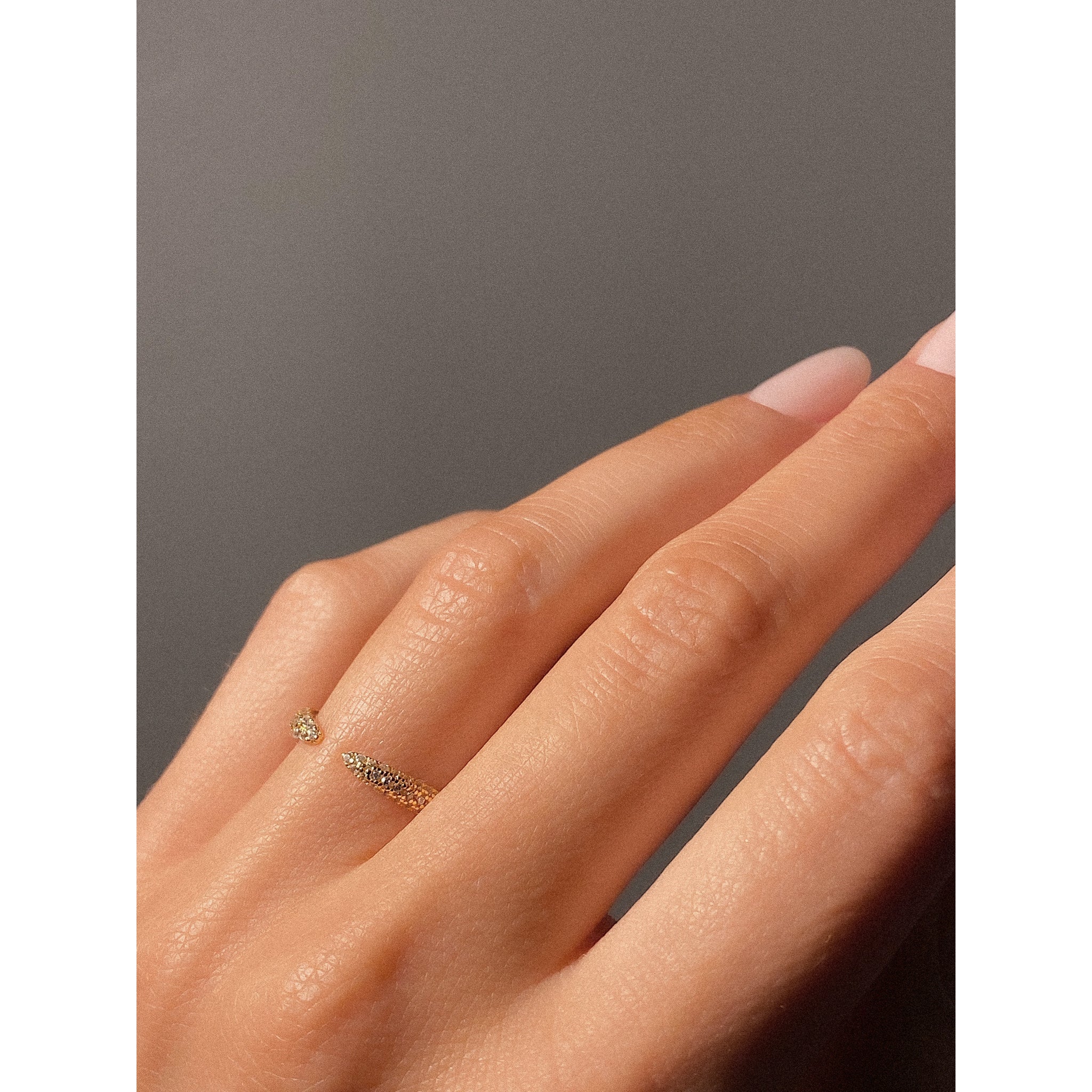 Claw Ring - Silver - Aaria London